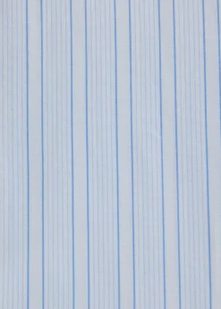 Cotton Deco Stripe Dress Shirt