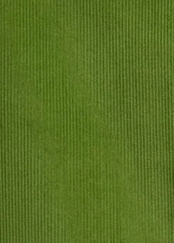 Drawstring Corduroy Pant