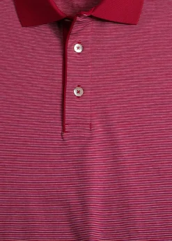 Italian Cotton Micro Stripe Polo