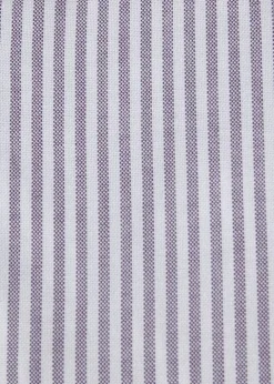 Stripe Oxford Sport Shirt